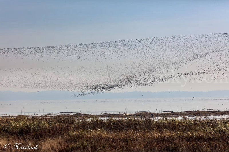 191105220404_WeChat Image_20191105205737.jpg